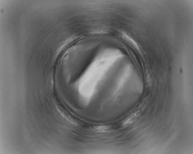 X0000075380059200609251202