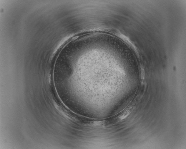 X0000075380060200609251202