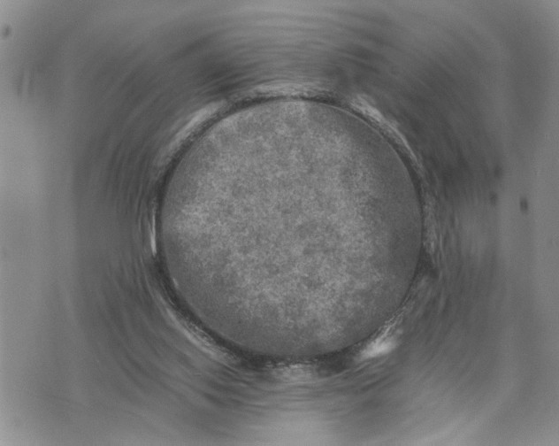 X0000075380062200609251202