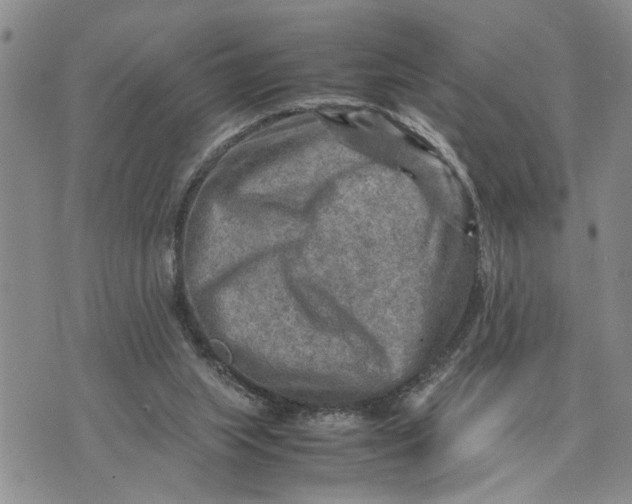 X0000075380063200609251202