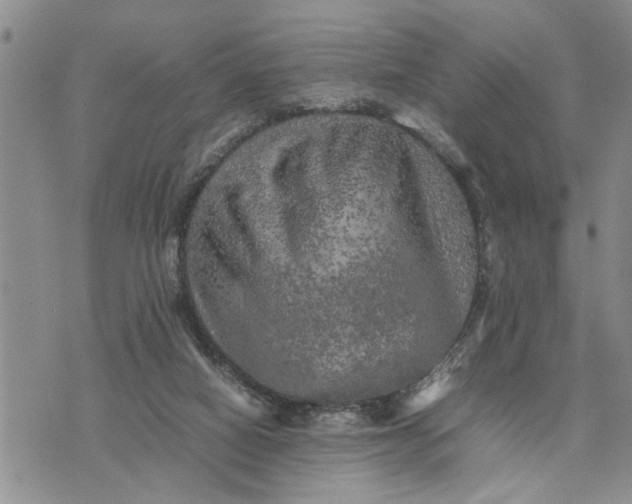 X0000075380066200609251202