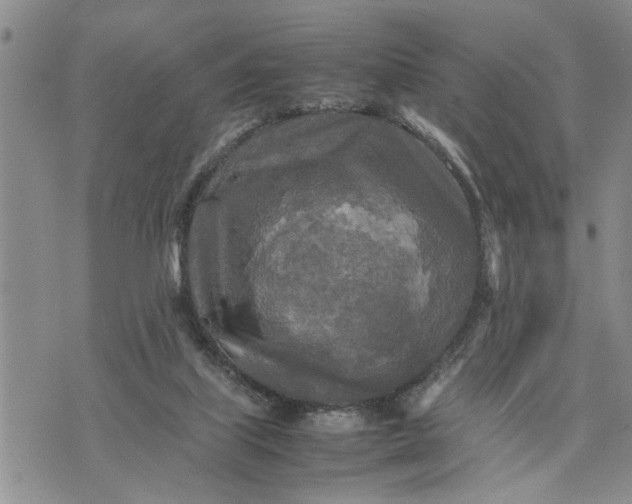 X0000075380067200609251203