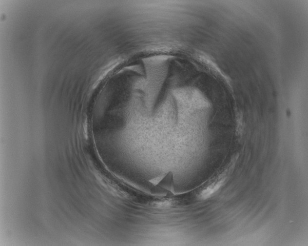 X0000075380068200609251203