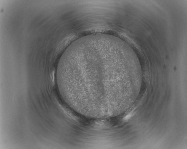 X0000075380070200609251203