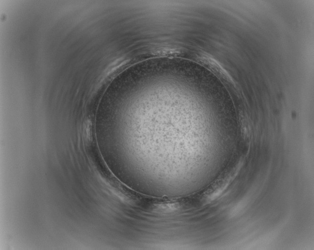 X0000075380071200609251203