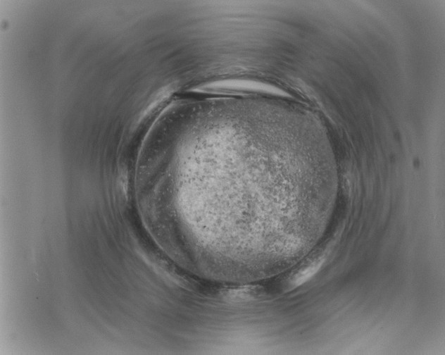 X0000075380072200609251203