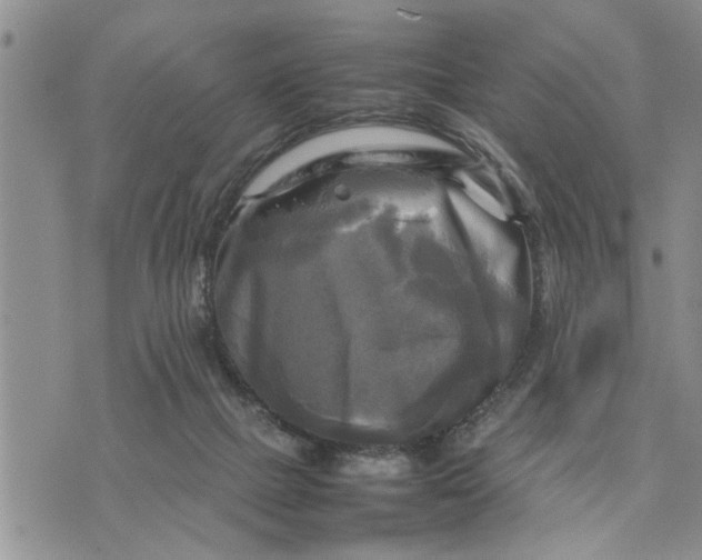 X0000075380073200609251203