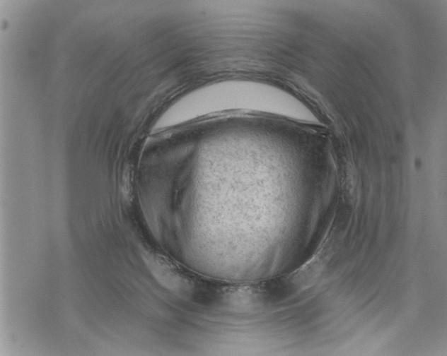 X0000075380074200609251203