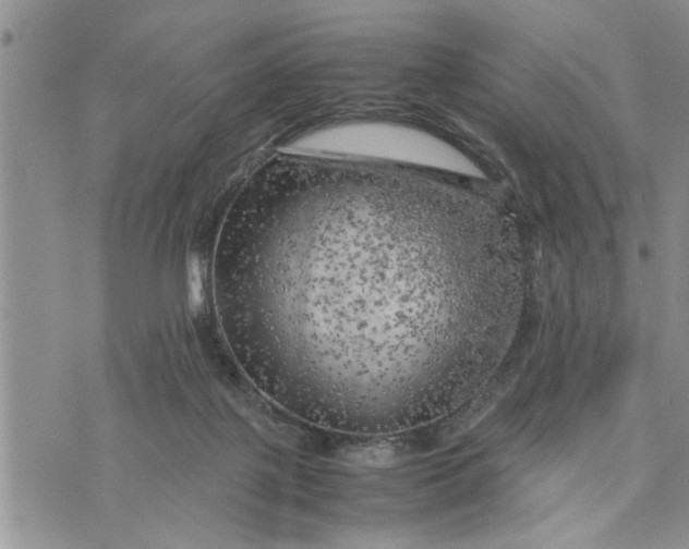 X0000075380075200609251203