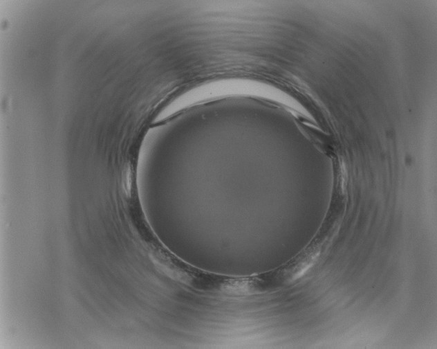 X0000075380076200609251203