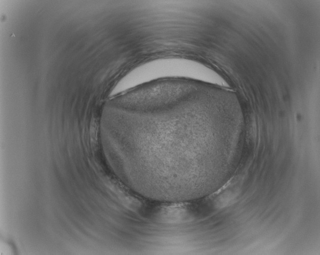 X0000075380078200609251203