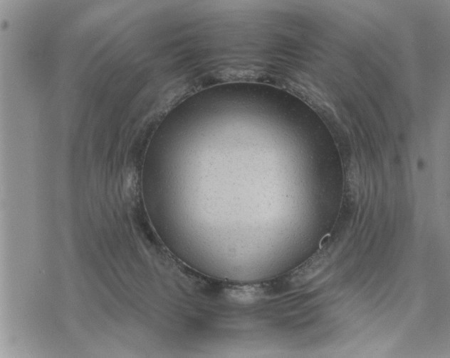 X0000075380079200609251203