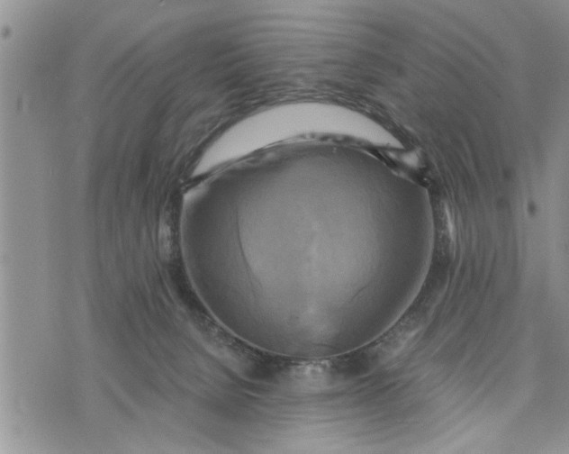 X0000075380080200609251203