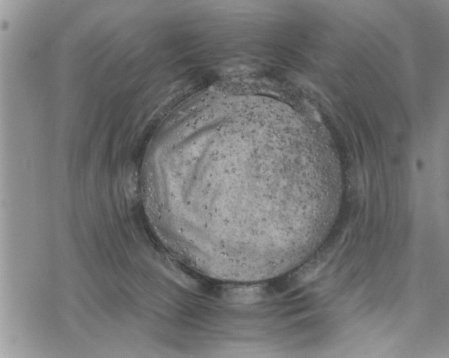 X0000075380081200609251203