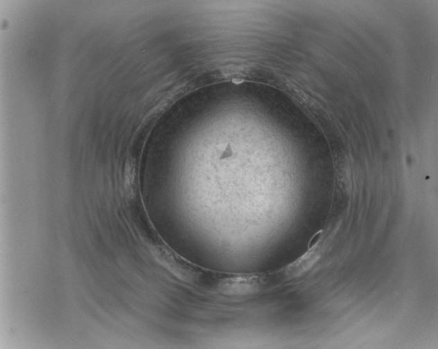 X0000075380082200609251203