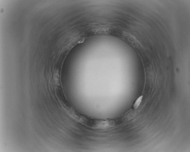 X0000075380083200609251203