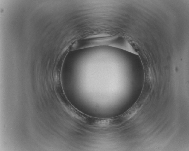 X0000075380084200609251203