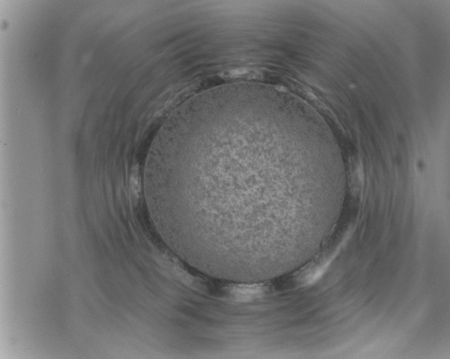 X0000075380085200609251203