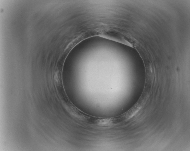 X0000075380088200609251203