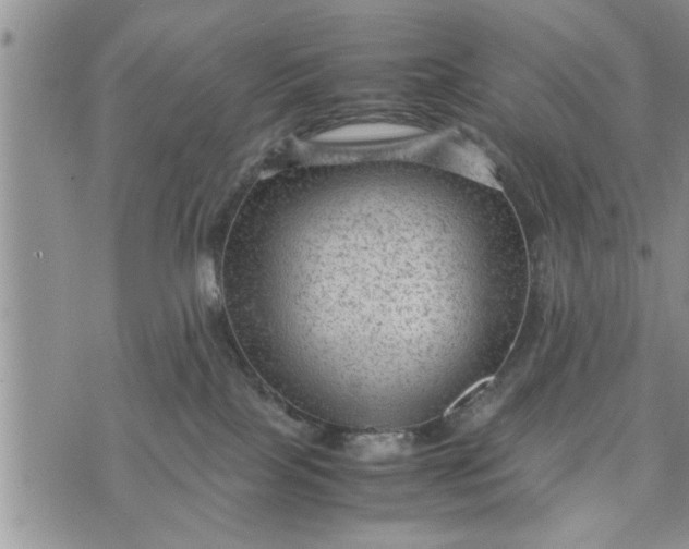 X0000075380089200609251203