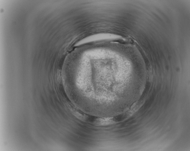 X0000075380093200609251203