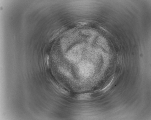 X0000075380094200609251203