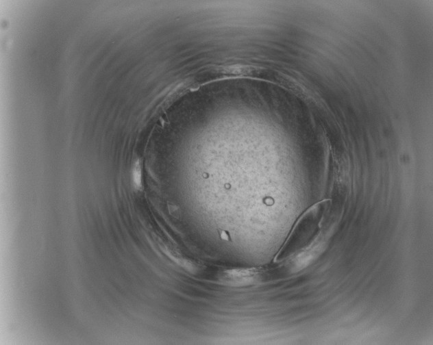 X0000075380095200609251203