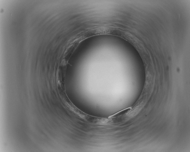 X0000075380096200609251203