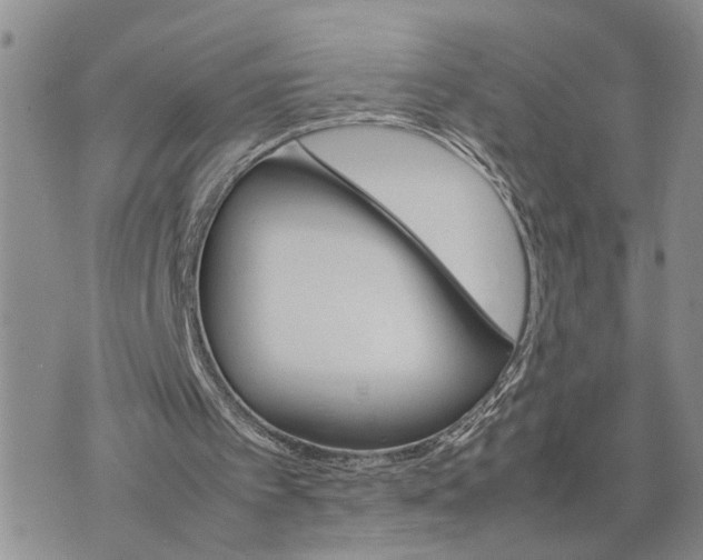 X0000075380097200609251202