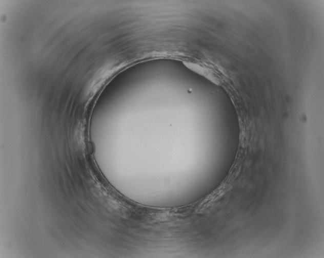 X0000075380098200609251202