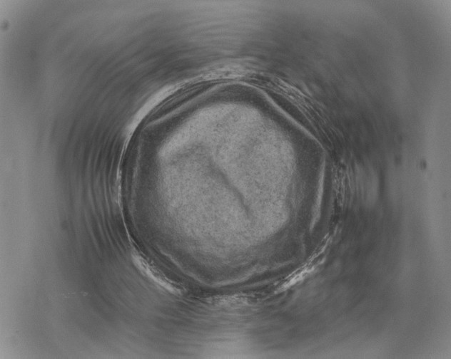 X0000075380100200609251202