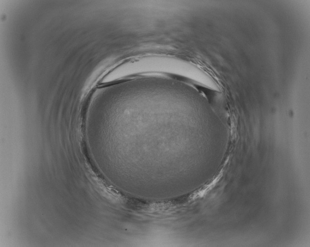 X0000075380101200609251202