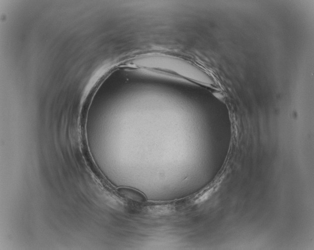 X0000075380102200609251202