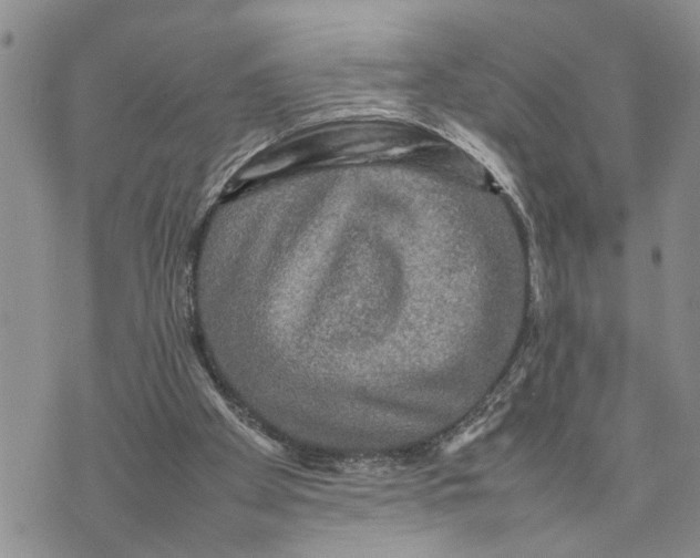 X0000075380105200609251202