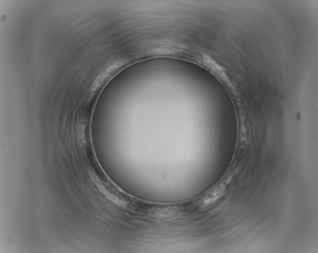 X0000075380106200609251202