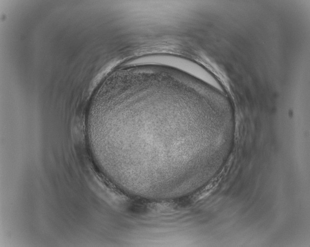 X0000075380107200609251202