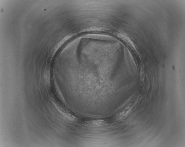 X0000075380108200609251202