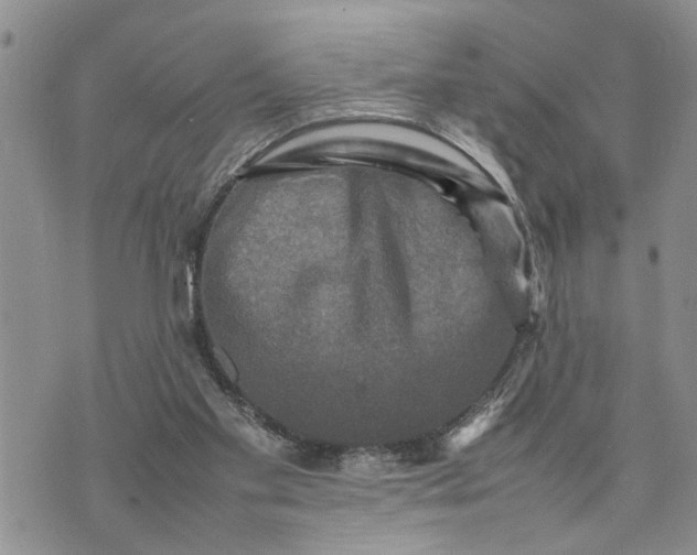 X0000075380109200609251202