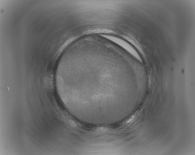 X0000075380111200609251202