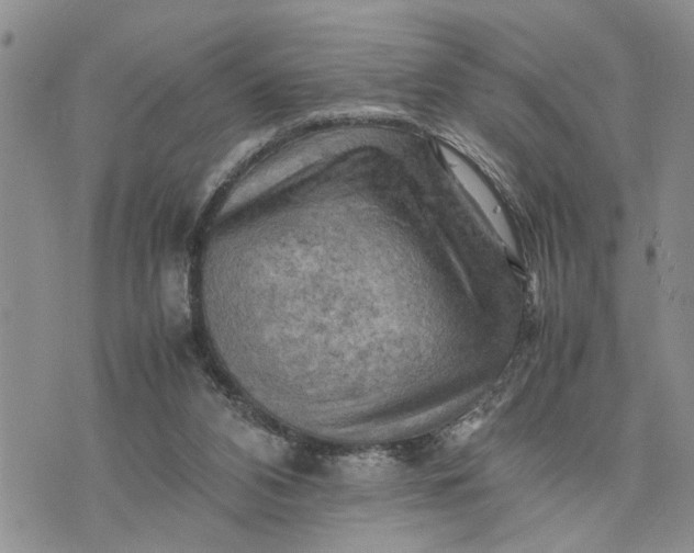 X0000075380112200609251202