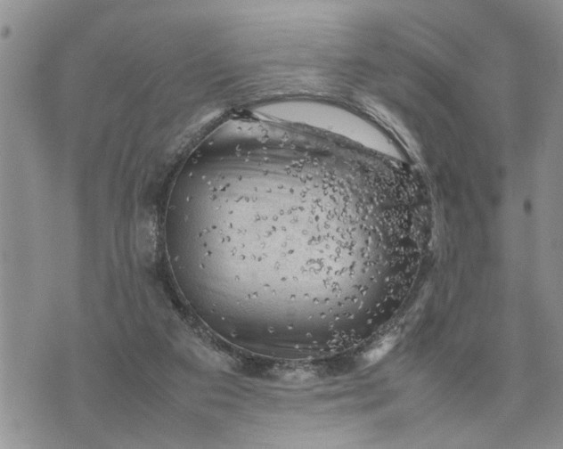 X0000075380113200609251202