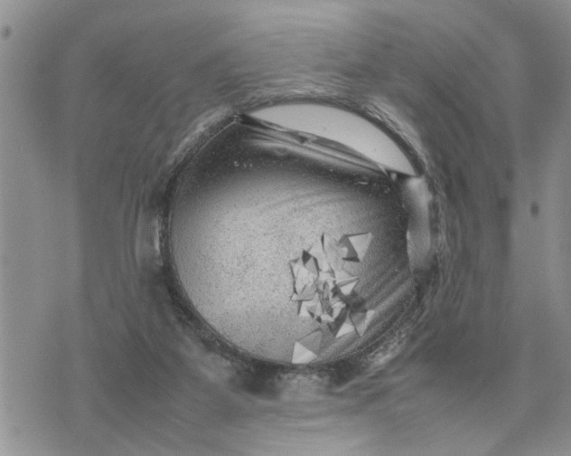 X0000075380115200609251202