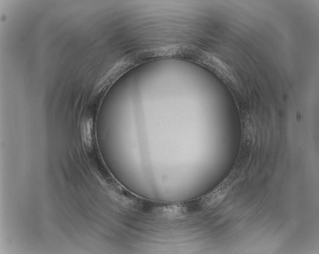 X0000075380118200609251202