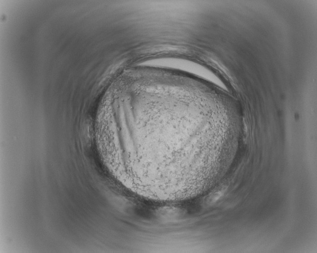 X0000075380119200609251202