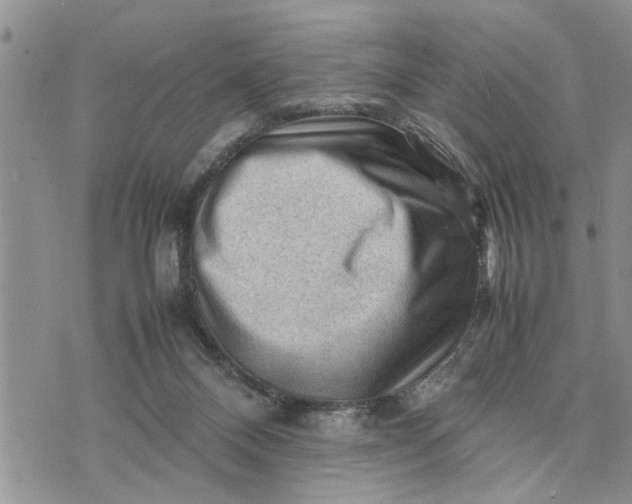 X0000075380120200609251202