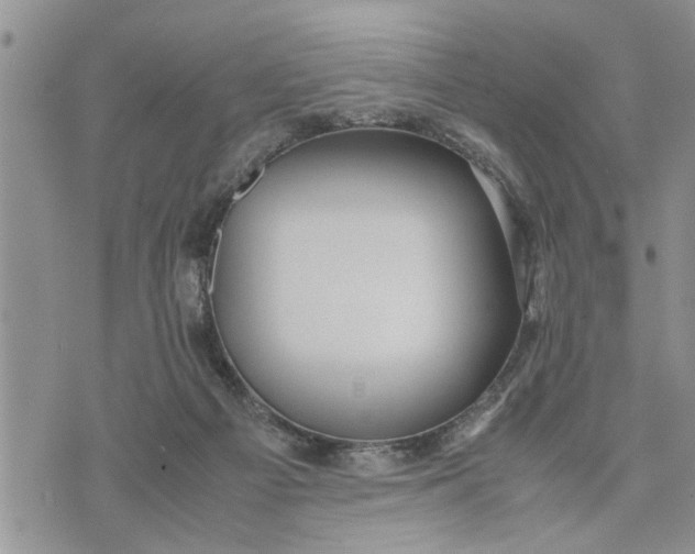 X0000075380121200609251202