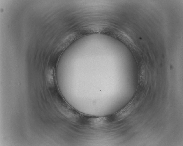 X0000075380122200609251202