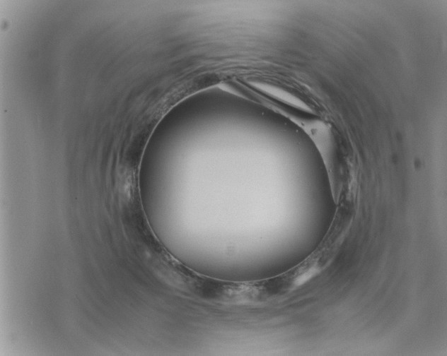 X0000075380125200609251202