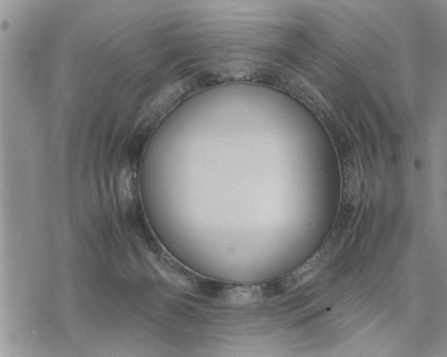 X0000075380126200609251202