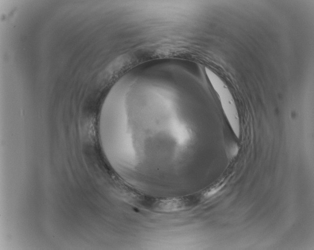 X0000075380127200609251202